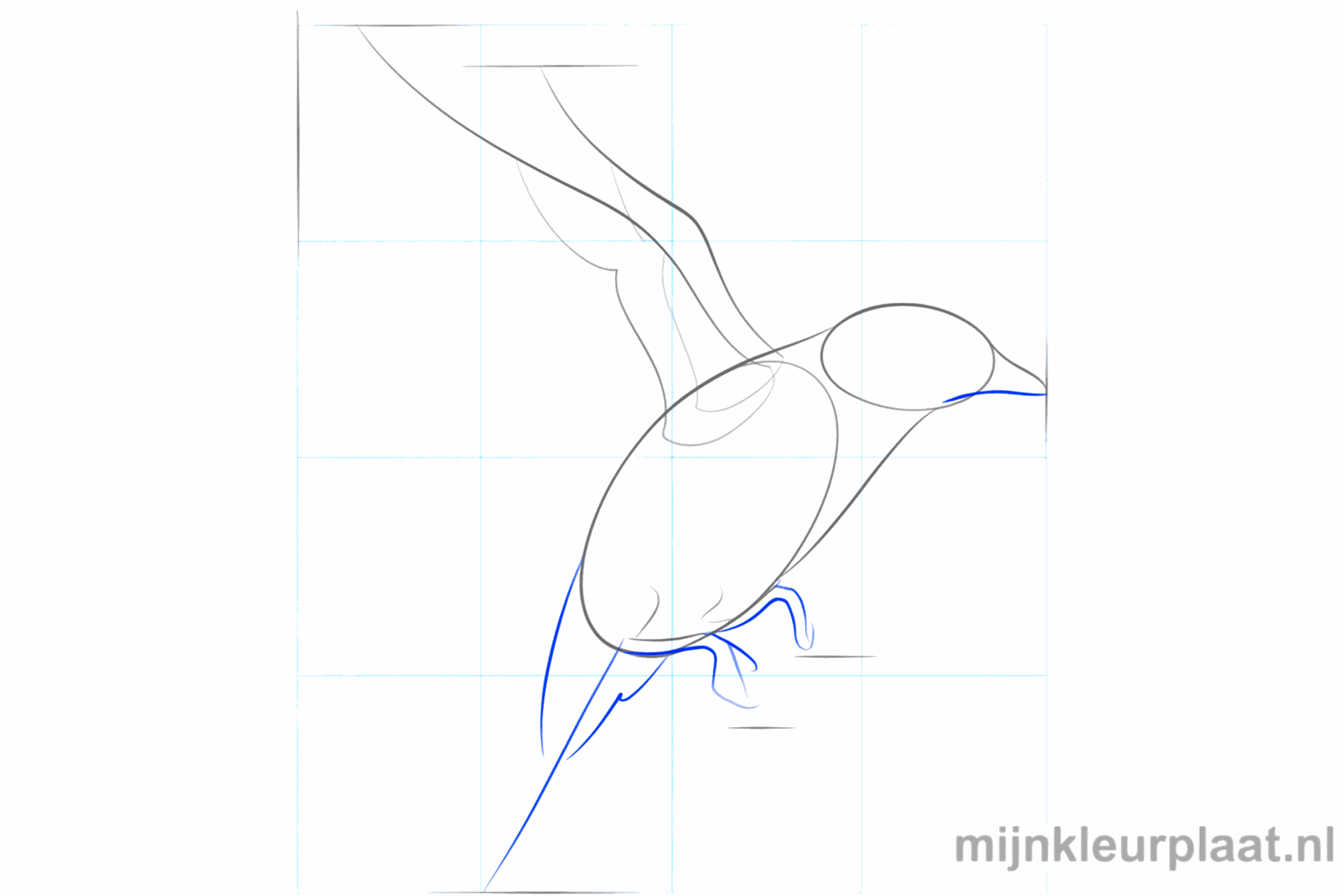 Hulplijnen voor de pootjes en de rand van de vleugel.