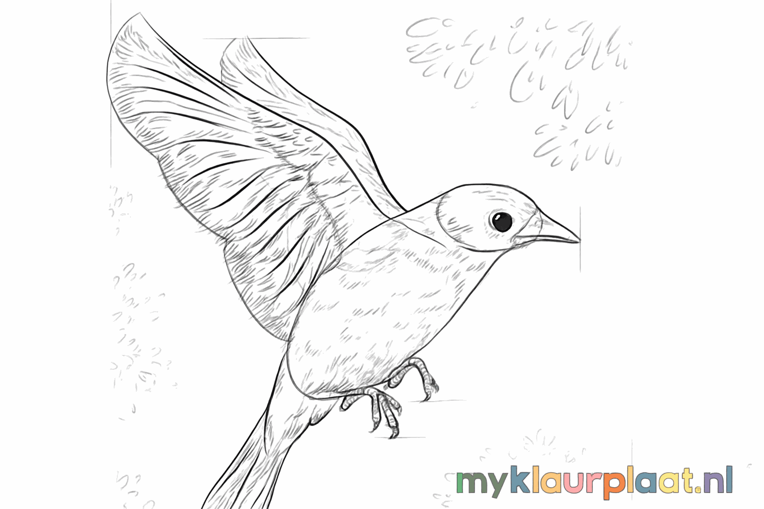 Voeg details toe aan het hele vogeltje zoals veertjes.