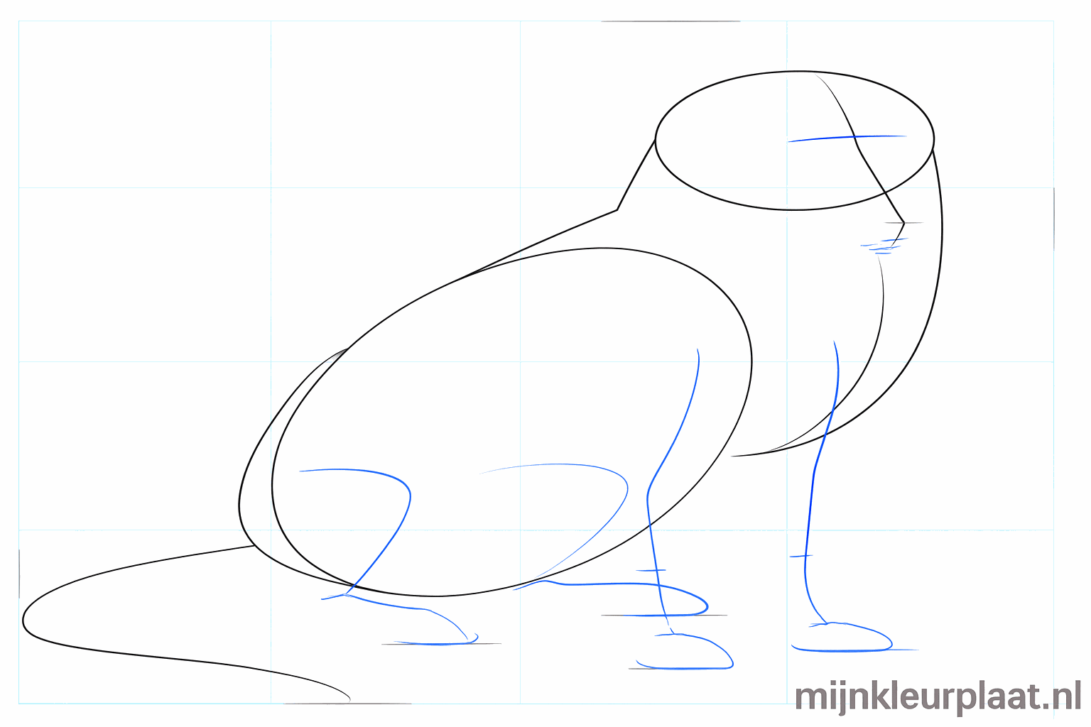 Hulplijnen voor de poten en het gezicht van de Border Collie.