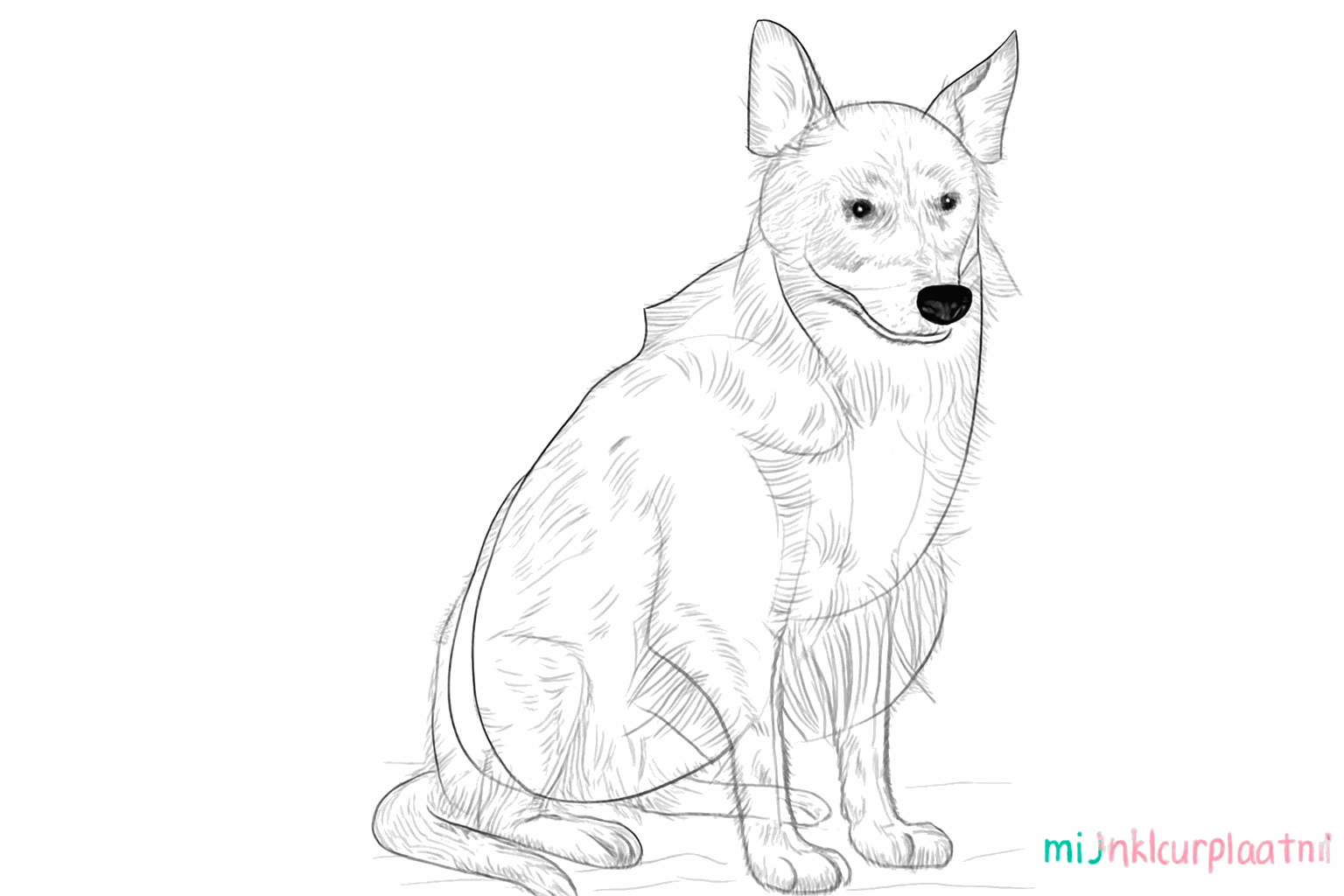 De hond krijgt een pluizige vacht door kleine streepjes.