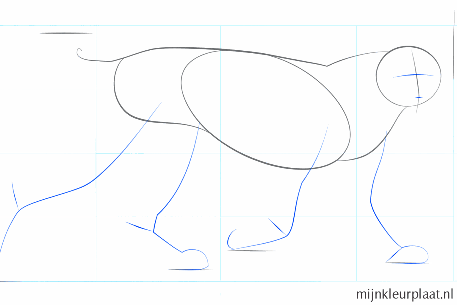 Hulplijnen in het gezicht en rechte strepen voor de positie van de vier poten.