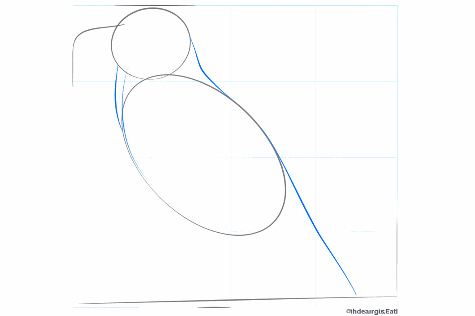 Hulplijnen voor de nek en de lange staart van de raaf.