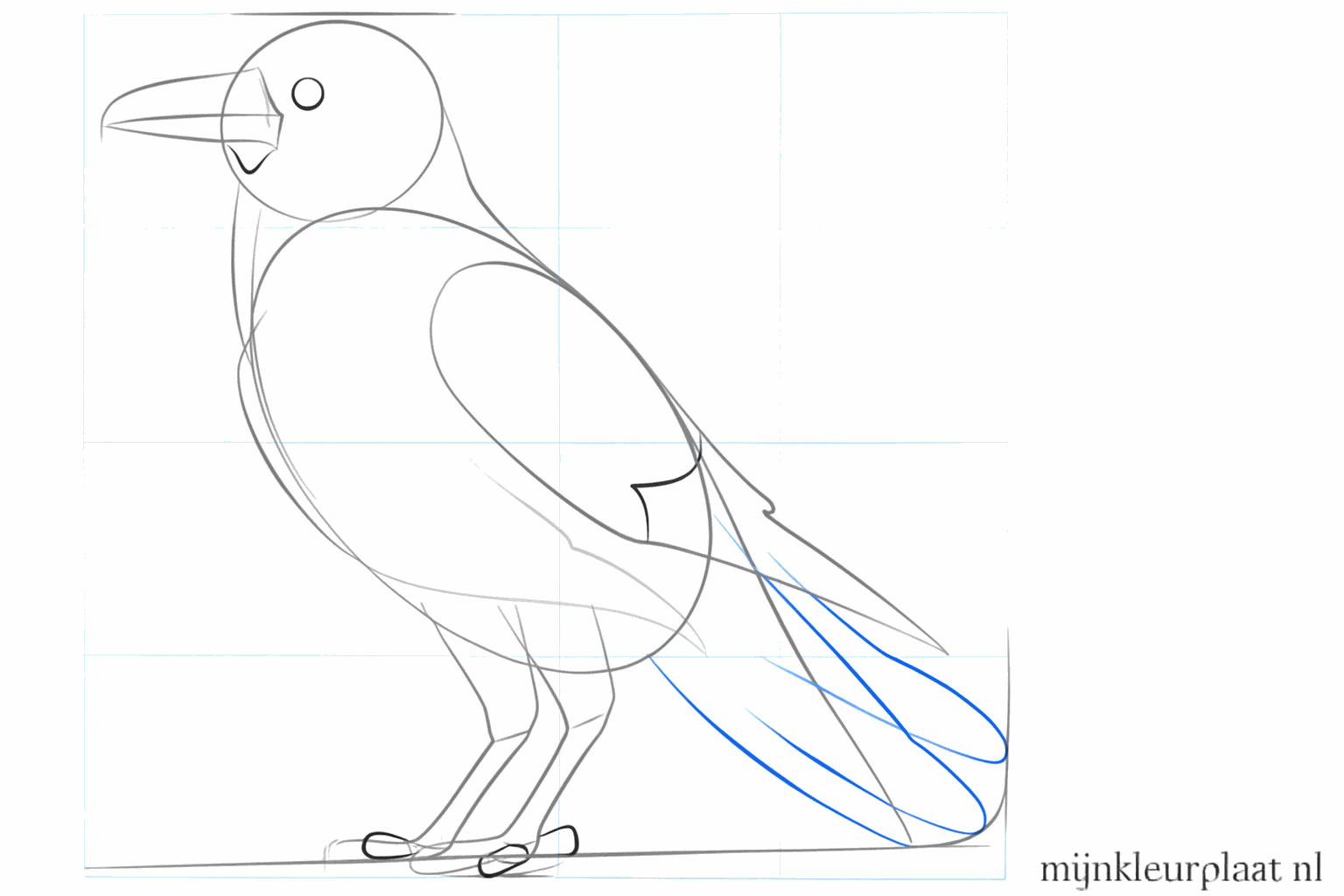 Details van het oog en de stevige poten van de vogel.