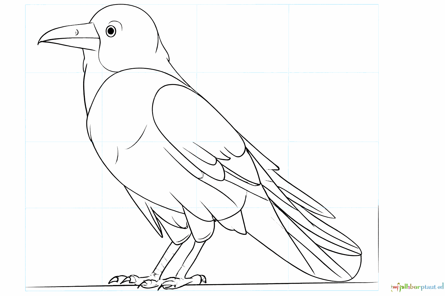 Lijnen die de veren op de vleugel en de staart van de raaf aangeven.