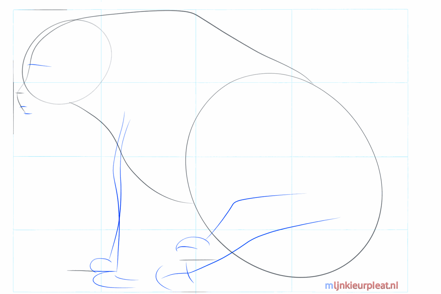 Hulplijnen voor de poten en de snuit van de beer.