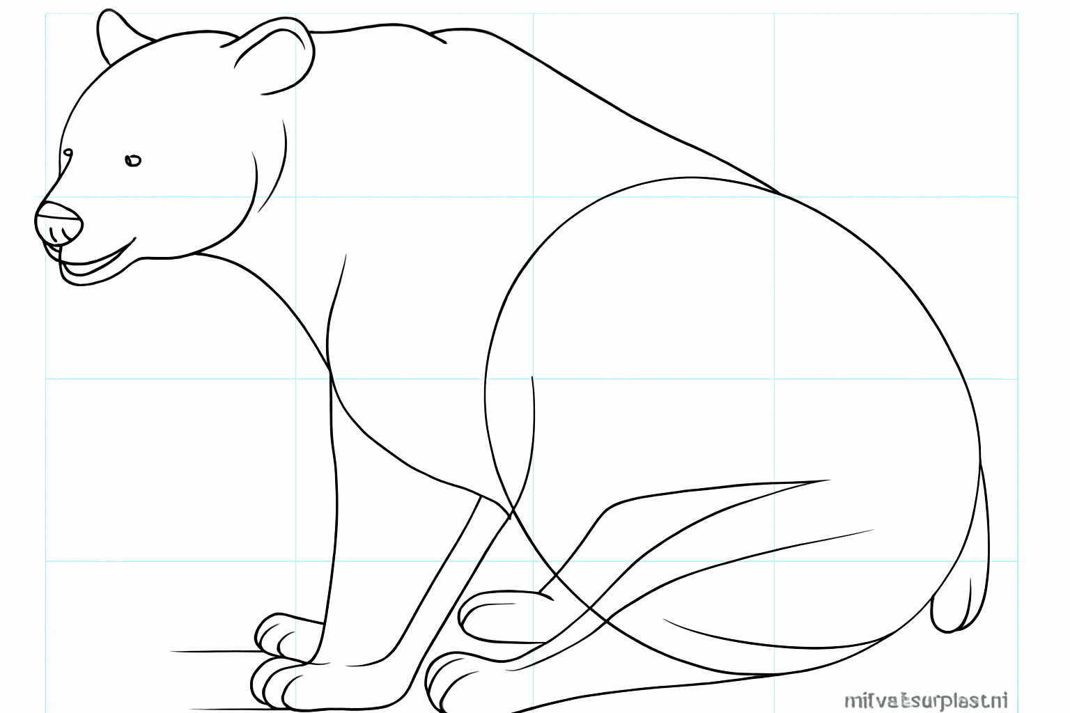 Details van de neus, ogen en oren tekenen.