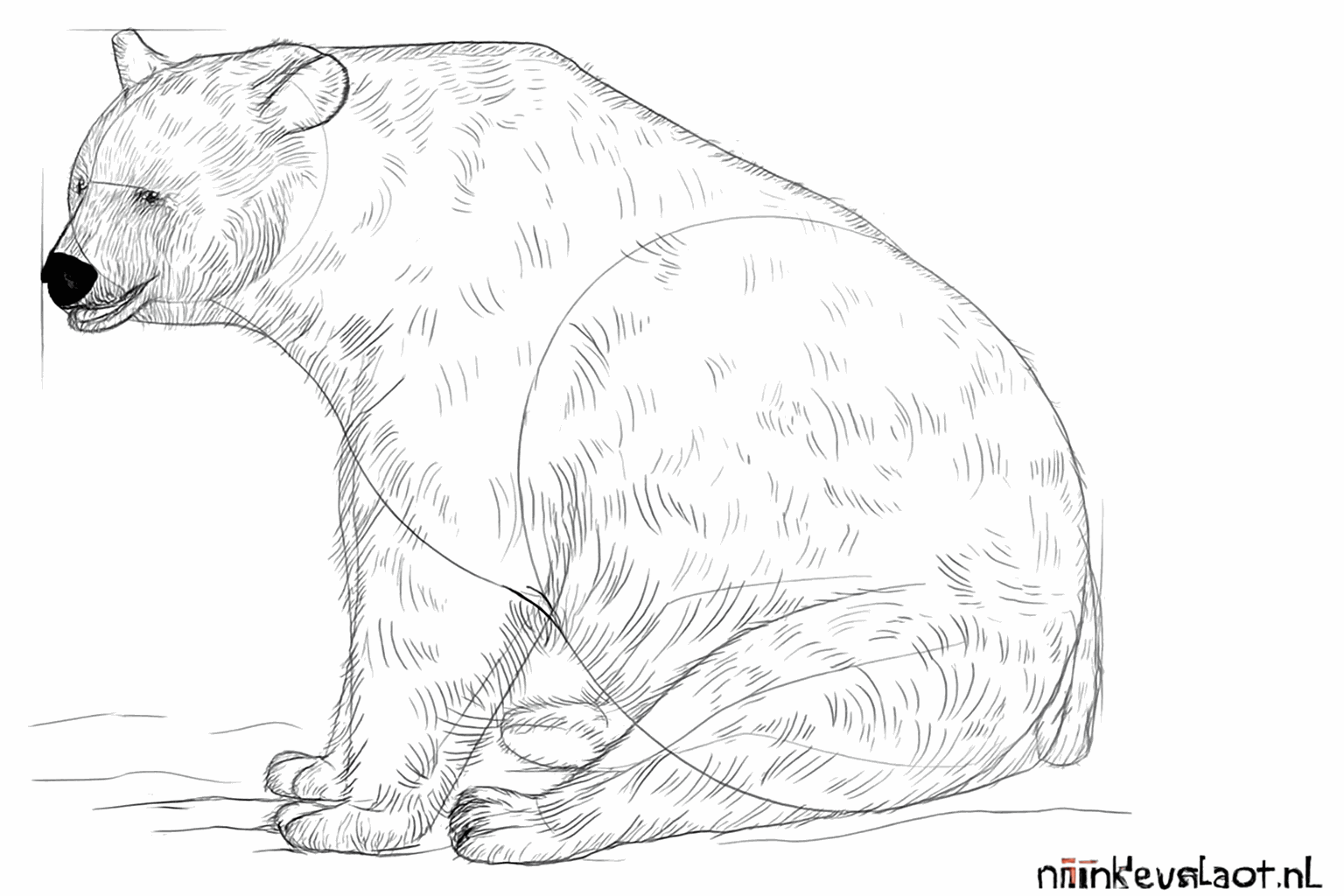 Voeg vacht-details toe aan het lichaam van de beer.