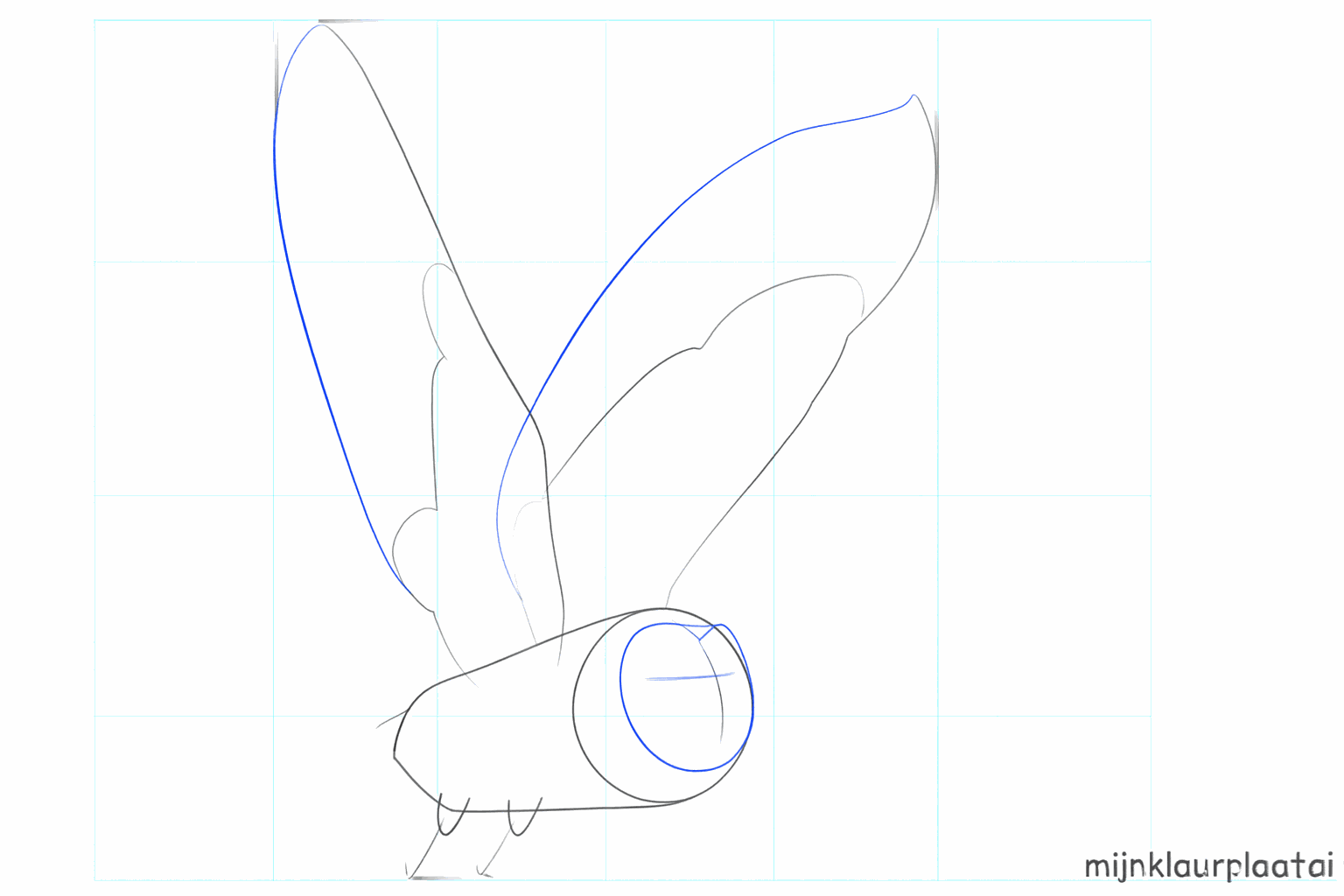 De hartvorm van het gezicht en de contouren van de bovenpoten van de uil.