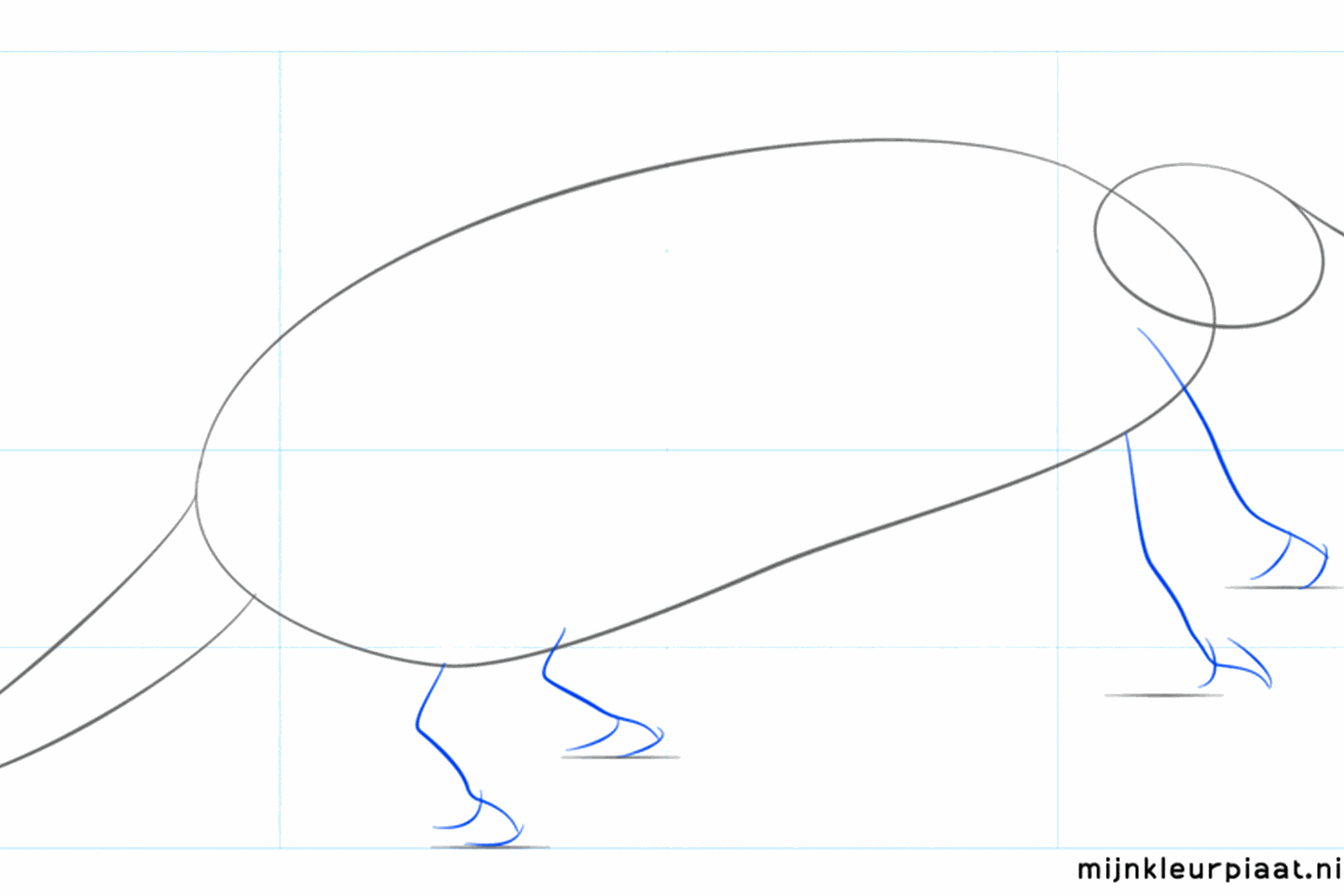 Het lijf van het gordeldier met een lange staart aan de achterkant.