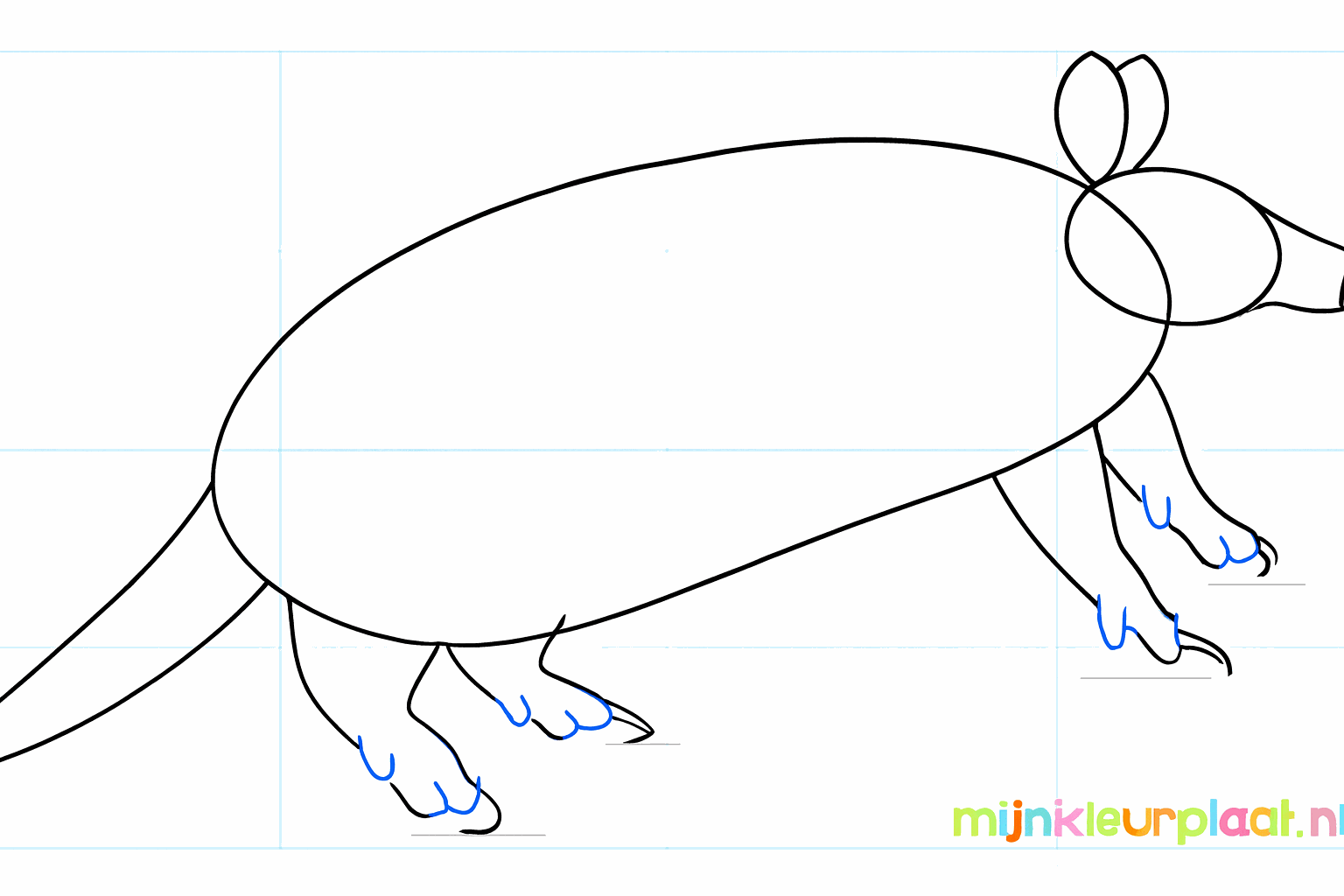 Dikke poten en een spitse snuit getekend rondom de hulplijnen.