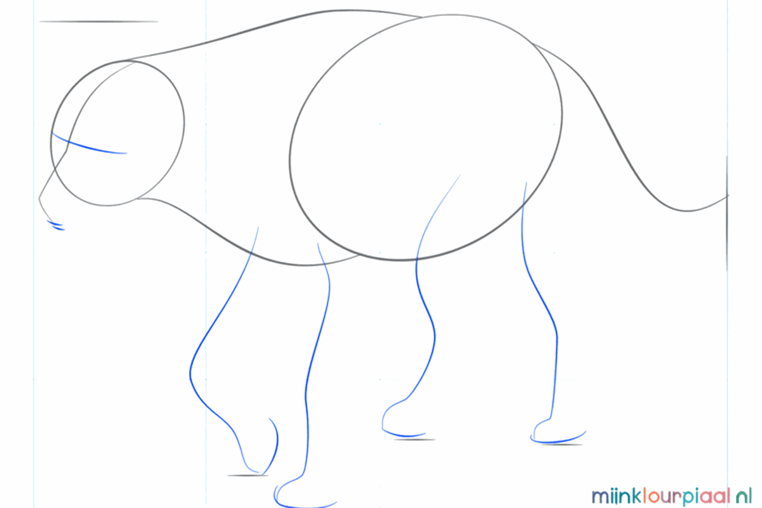 Hulplijnen voor de vier poten en een klein uitsteeksel voor de snuit.