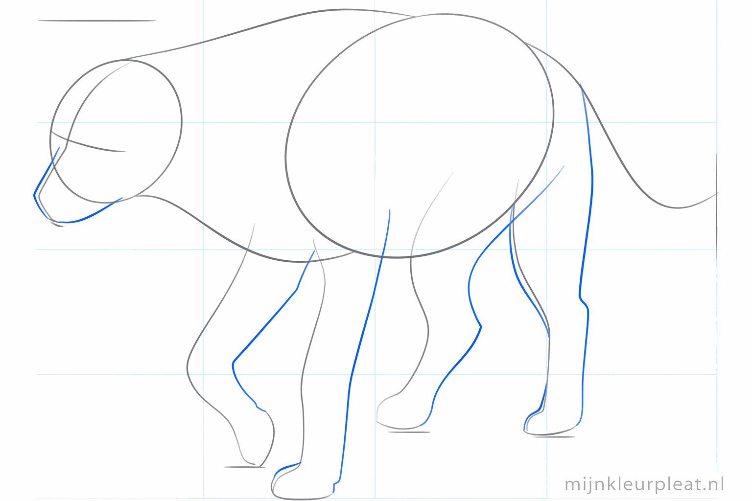 Dikkere poten en kleine ovale voetjes onderaan de hulplijnen.