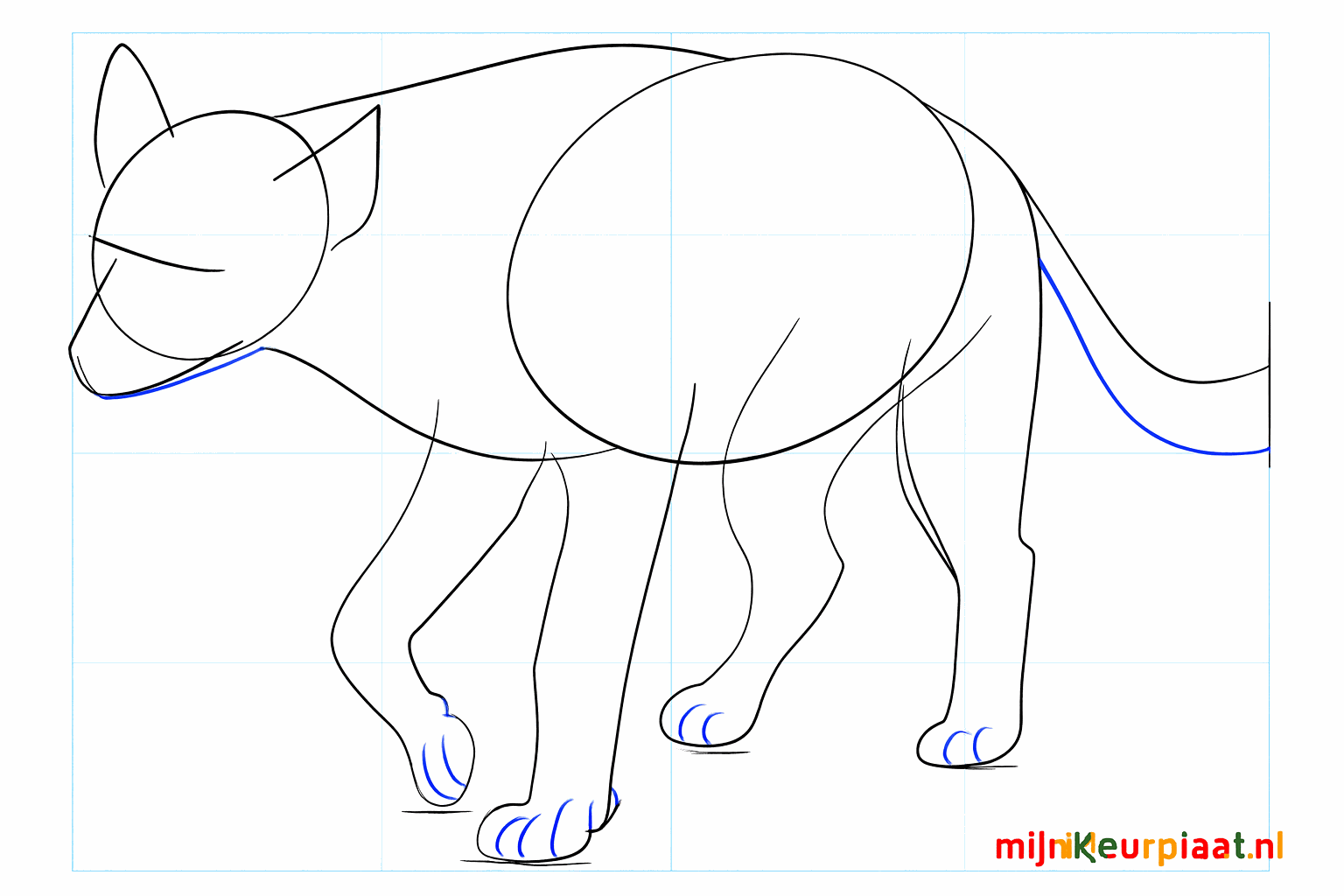 Grote ronde oren op de kop en een volle staartvorm.