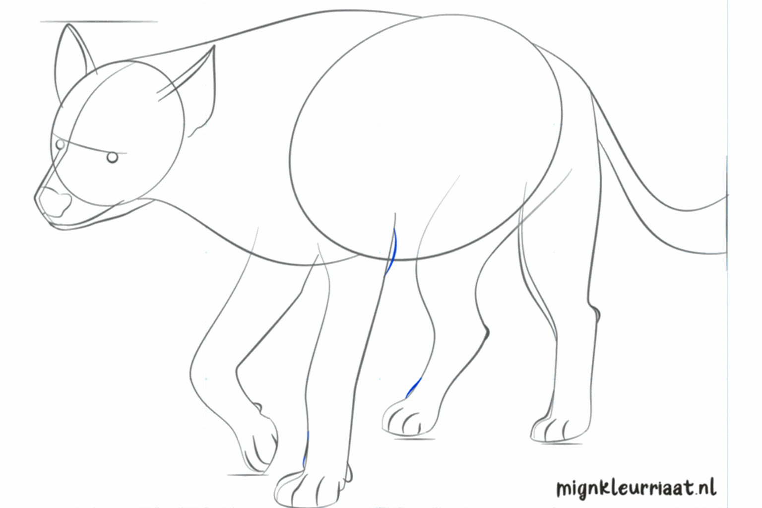 Details van het gezicht zoals het oog, de neus en de mondlijn.