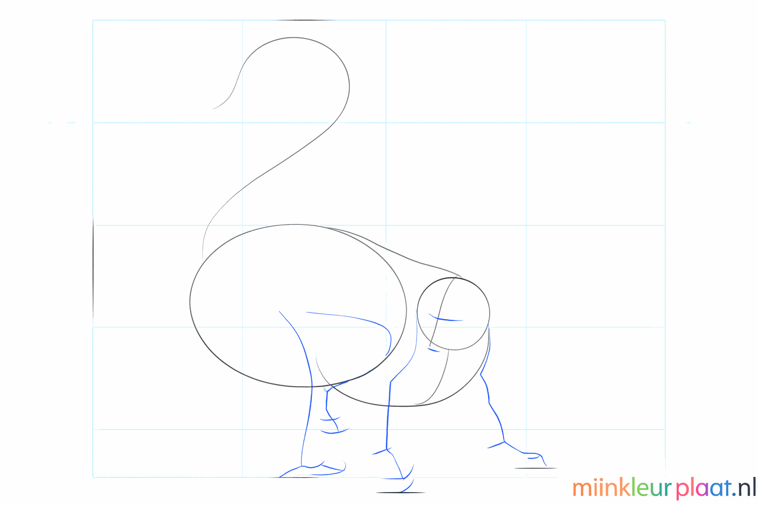 Hulplijnen voor de poten en het gezicht van de ringstaartmaki.