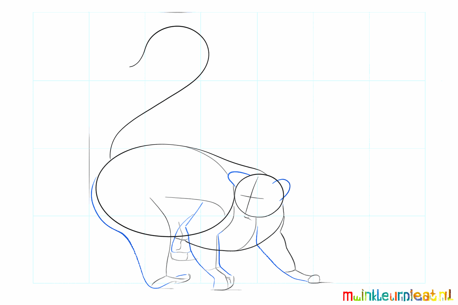 Dikke poten en puntige oren toevoegen aan de maki schets.