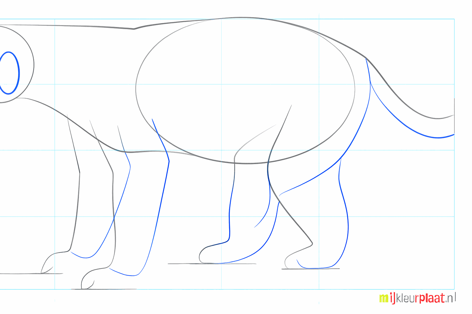 Dikkere poten en een klein oortje op de kop van de honingdas.