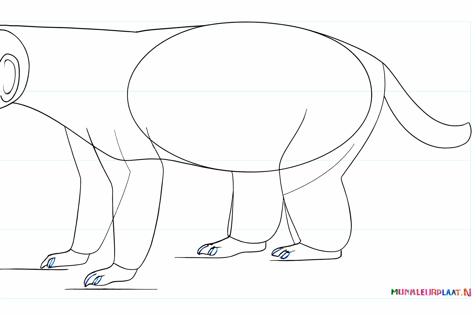 Details van het gezicht zoals het oog, de neus en de mondlijn.
