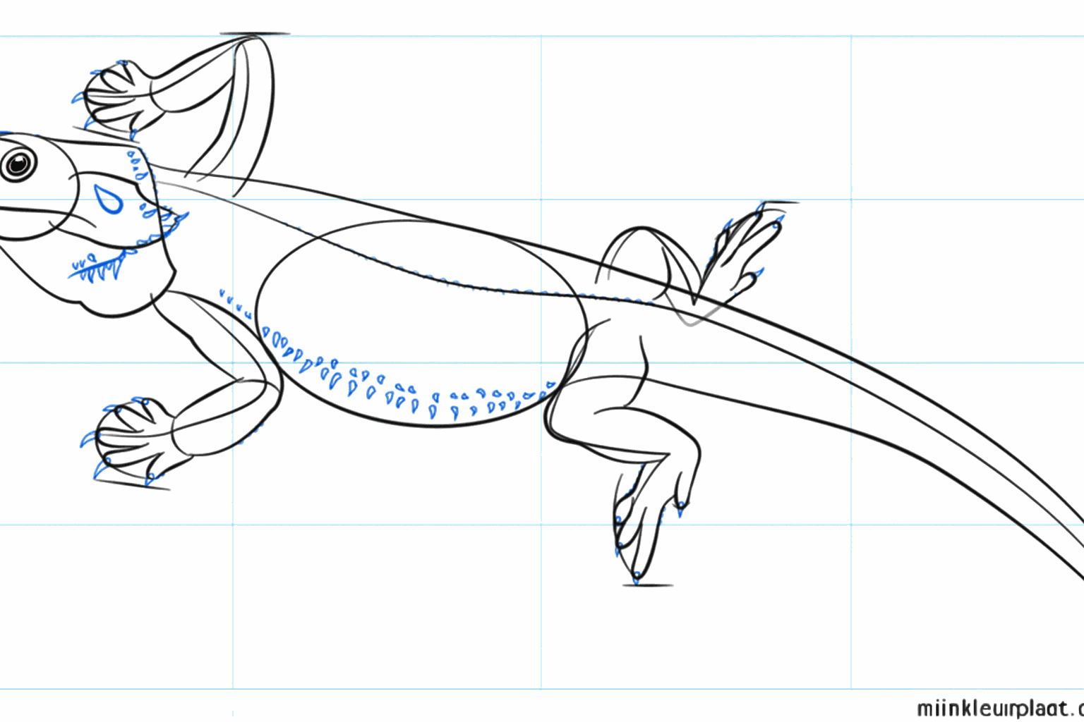 Lange tenen aan de poten en details bij het oog van de hagedis.