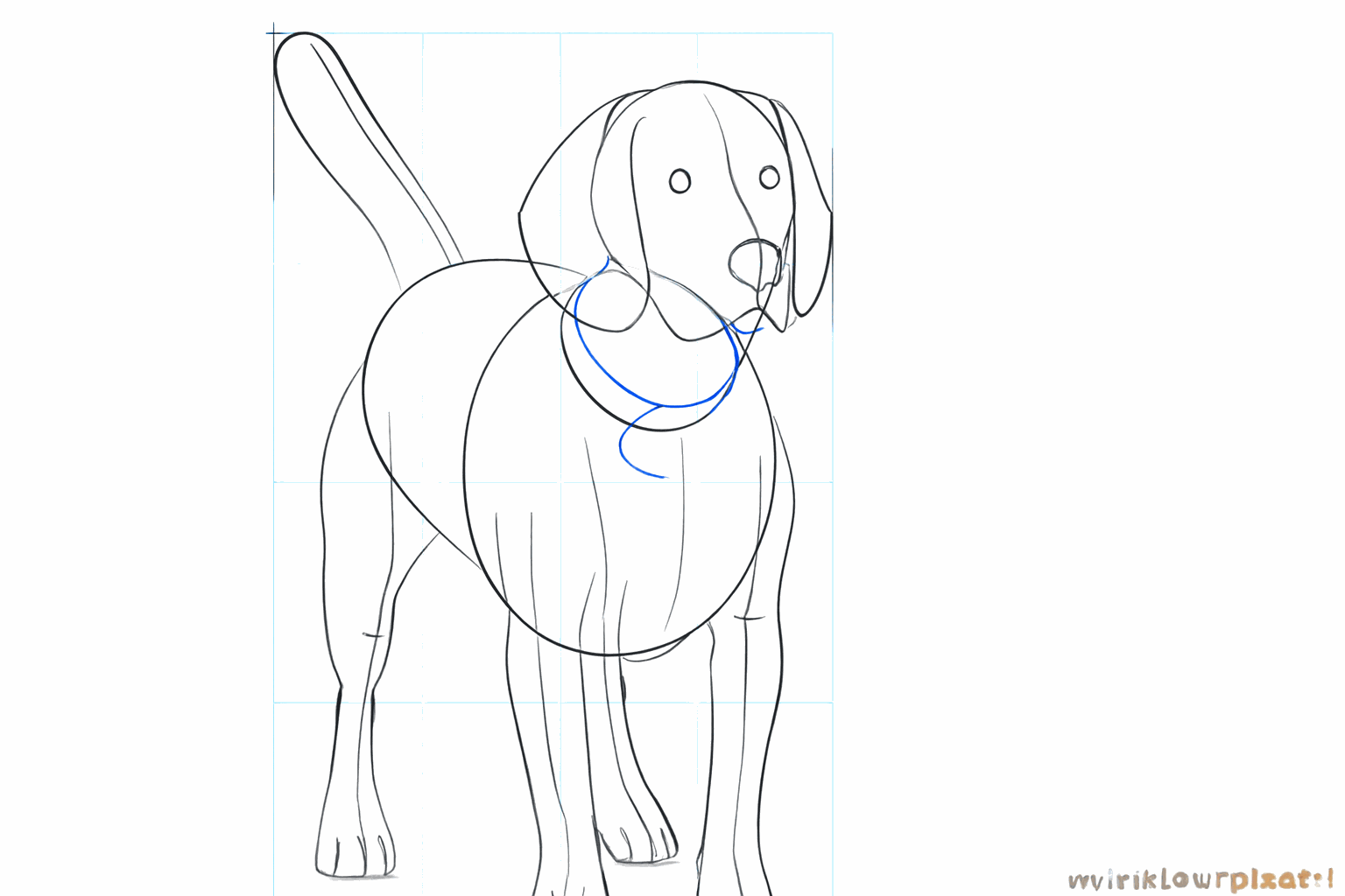 De contouren van het hondenlichaam worden duidelijker getekend.