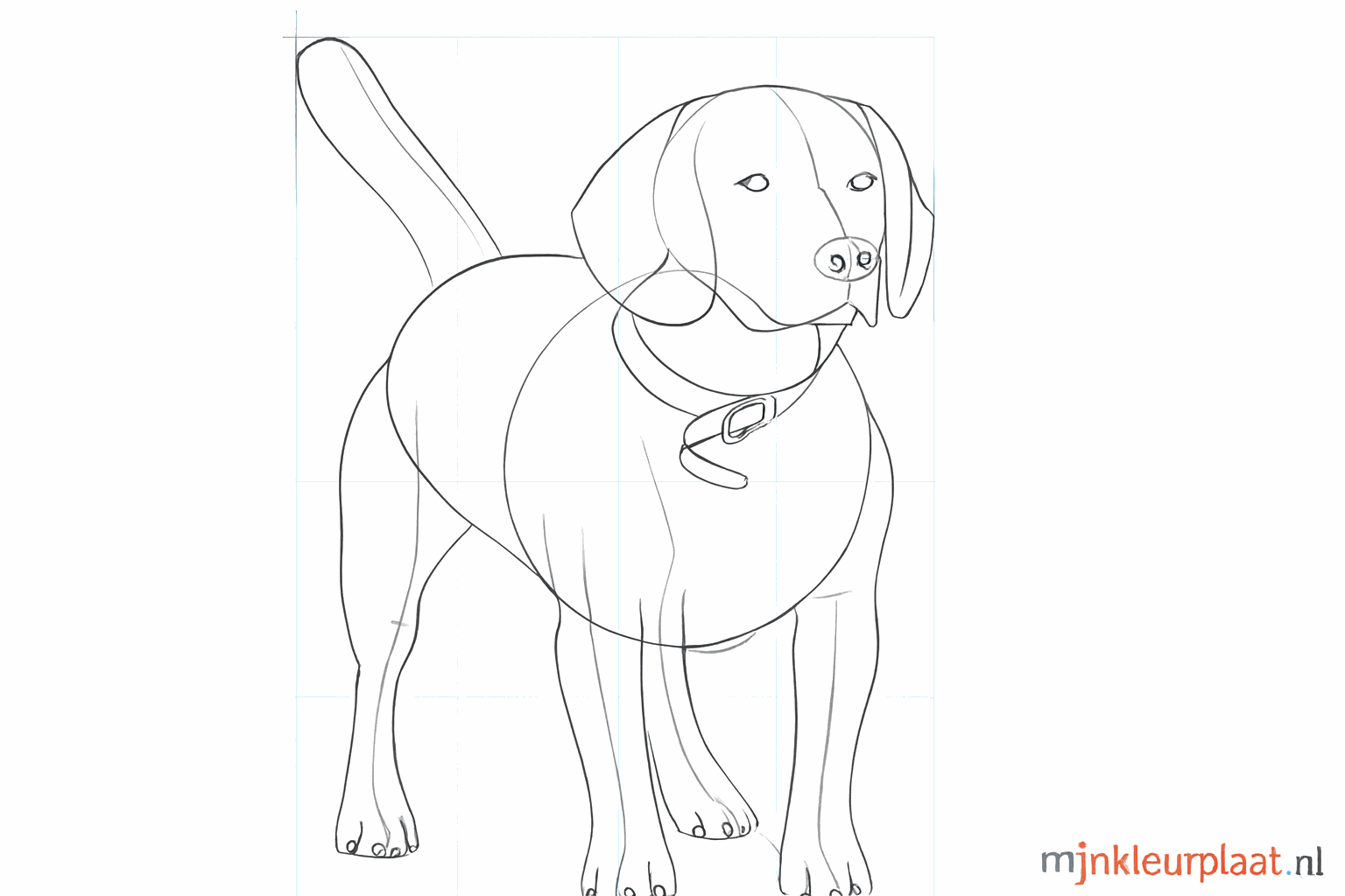 Details zoals ogen, een neus en een halsband worden toegevoegd.