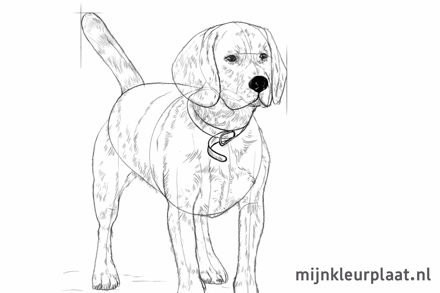 Verfijning van de kop en de pootjes met kleine details.