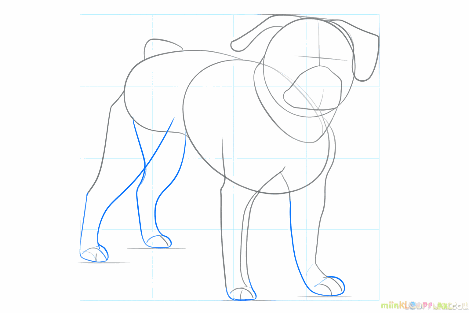 Schets van dikke hondenpootjes en twee flaporen aan de zijkant van de kop.