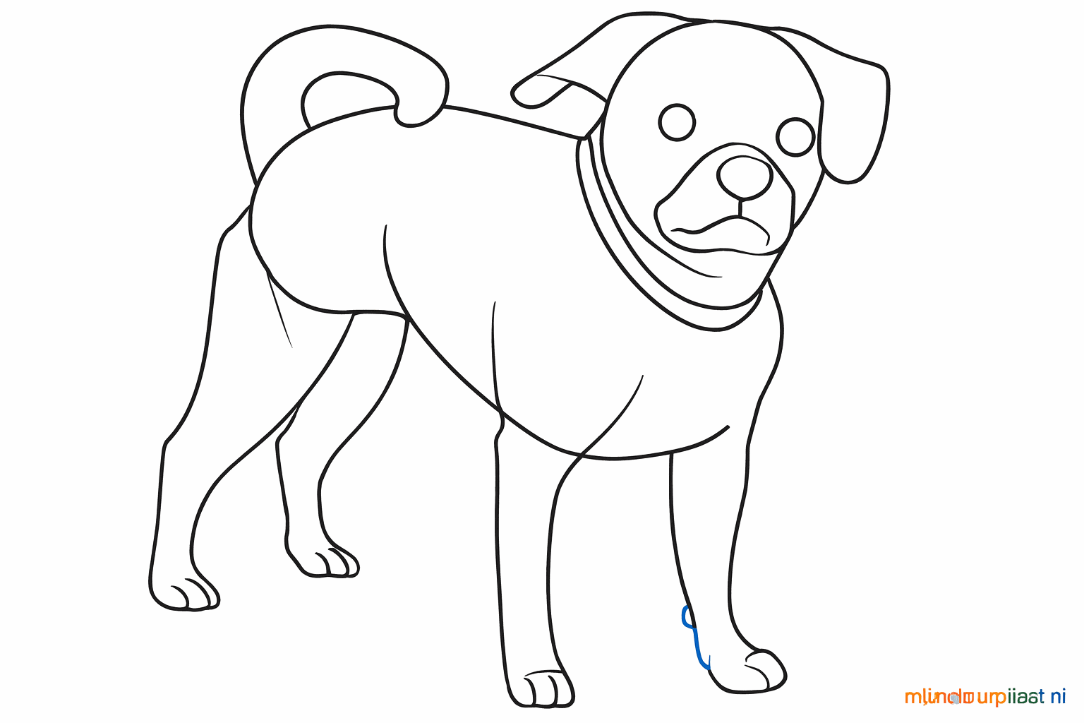 Details van het gezicht zoals ogen en neus, en kleine streepjes voor de tenen.