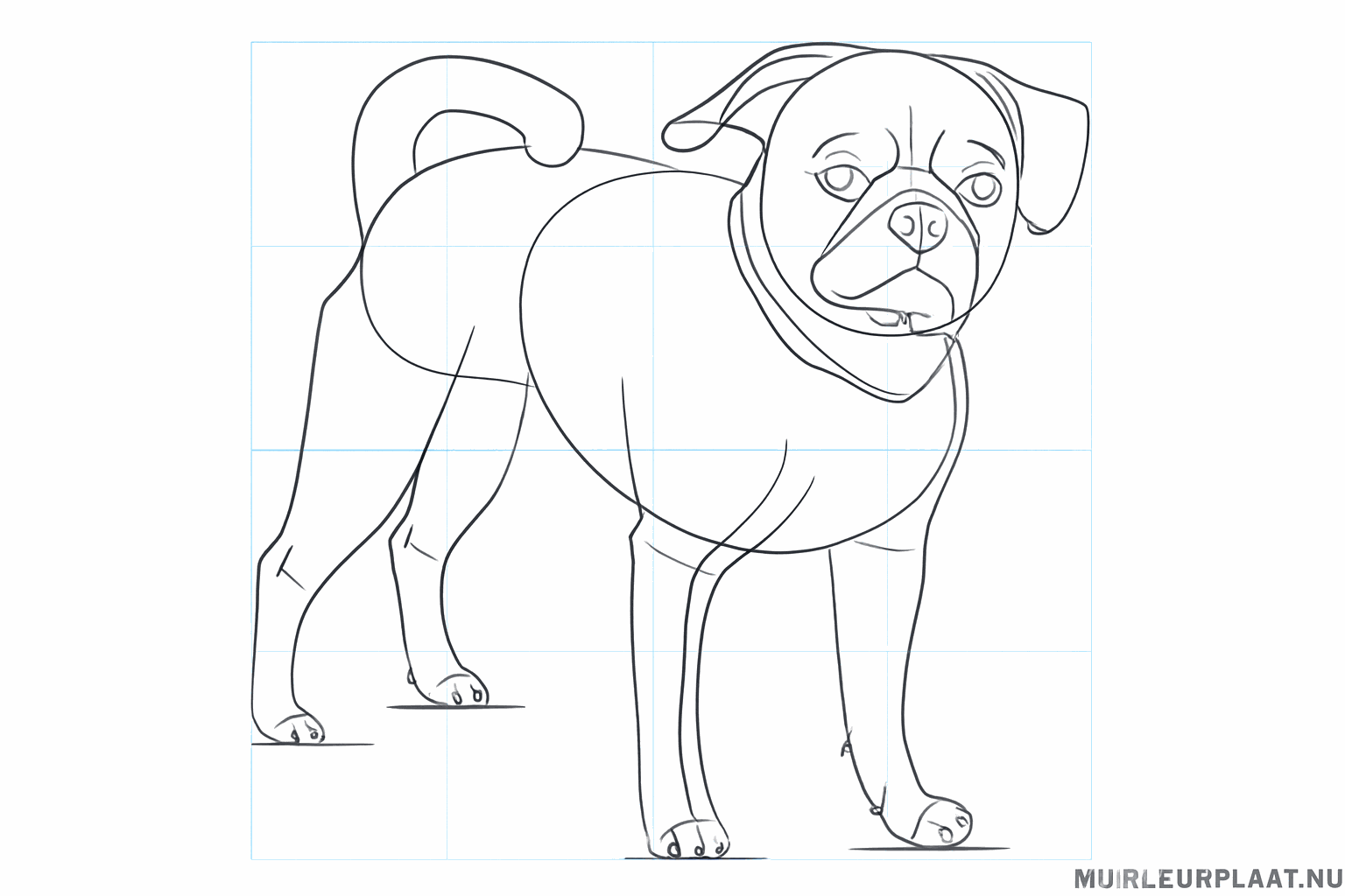 Een lachende hondenmond, een dikke staart en een lijntje voor de halsband.