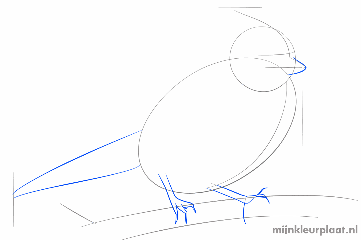 Een vogel met een snaveltje en een lange vorm voor de staart aan de achterkant.