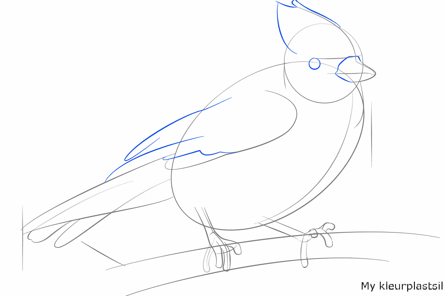 Een gebogen lijn op het lichaam die de vleugel van de blauwe gaai vormt.