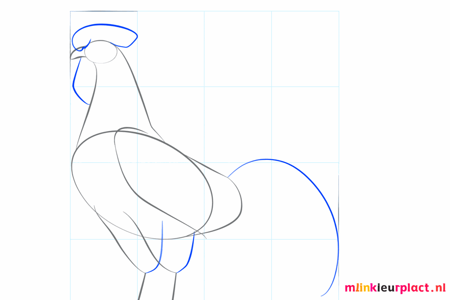 Schets van de kam op de kop en de eerste lijn van de staart.