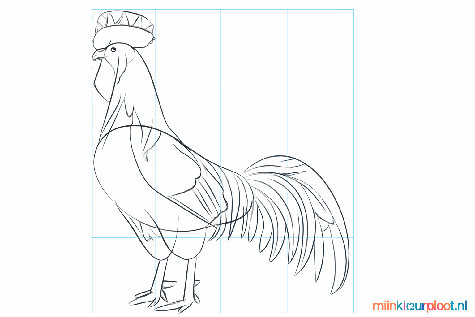 Details van de poten met tenen en veertjes op de vleugel.