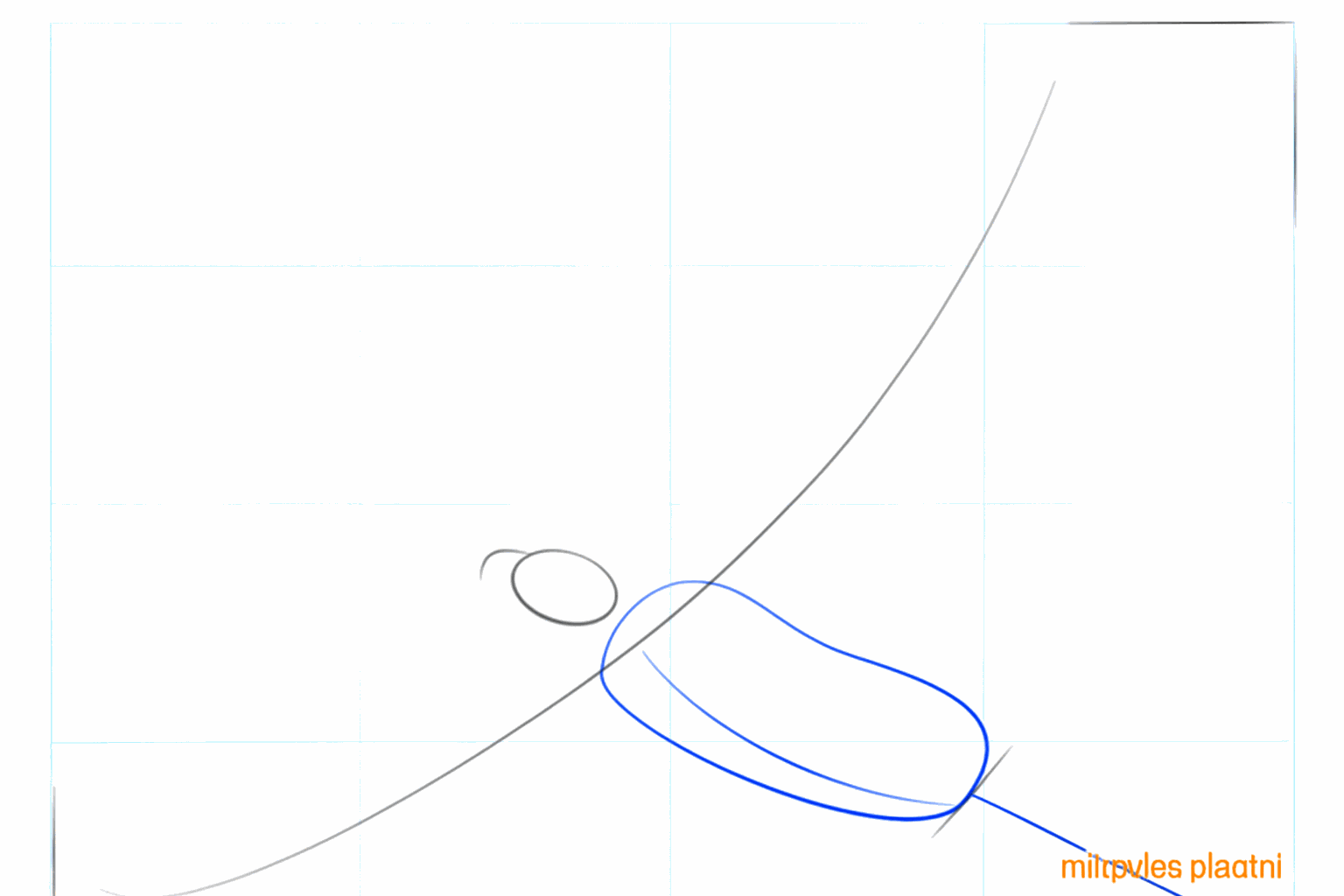 Een grote ovaal die het lichaam en de staart van de arend aangeeft.