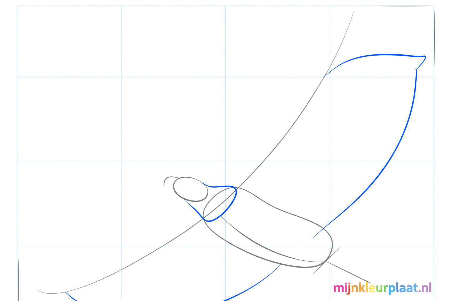 Lijnen die de nek en de aanzet van de vleugels van de arend vormen.