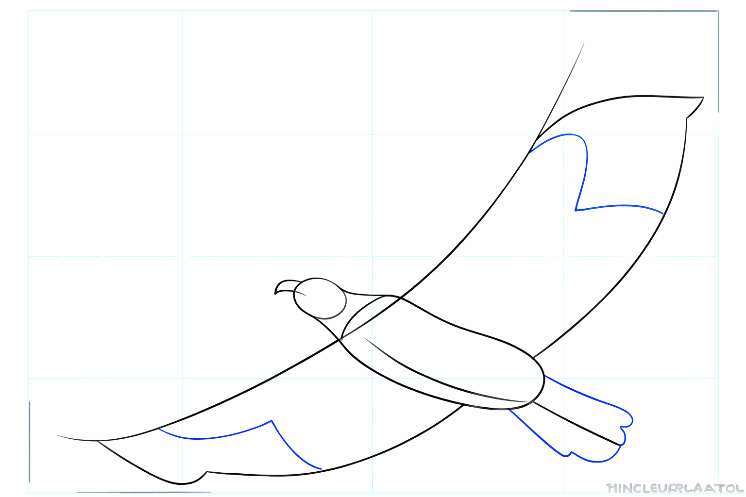 De contouren van de grote vleugels en de staart van de vogel.