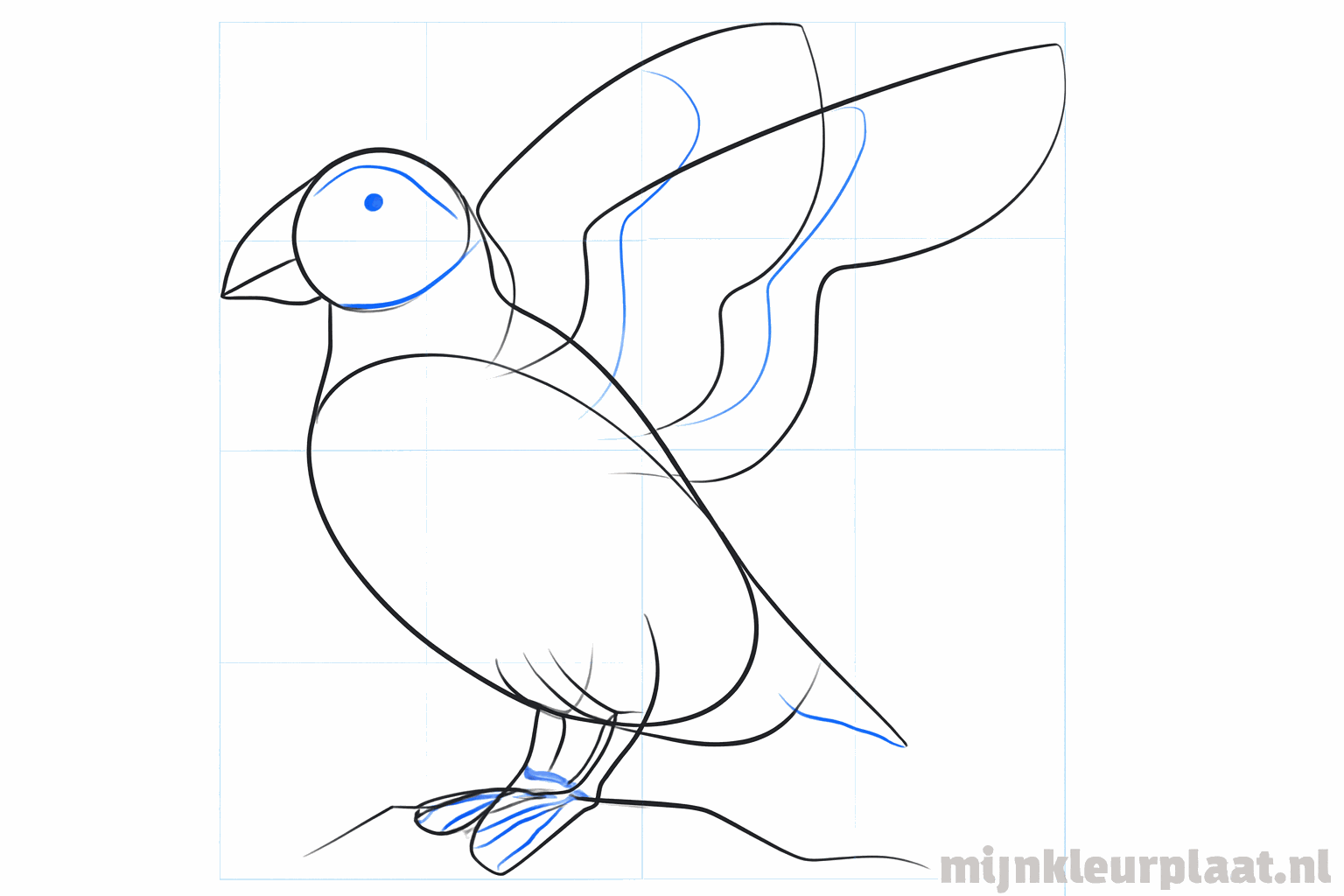 Details van de vleugel en een bredere staart worden toegevoegd.