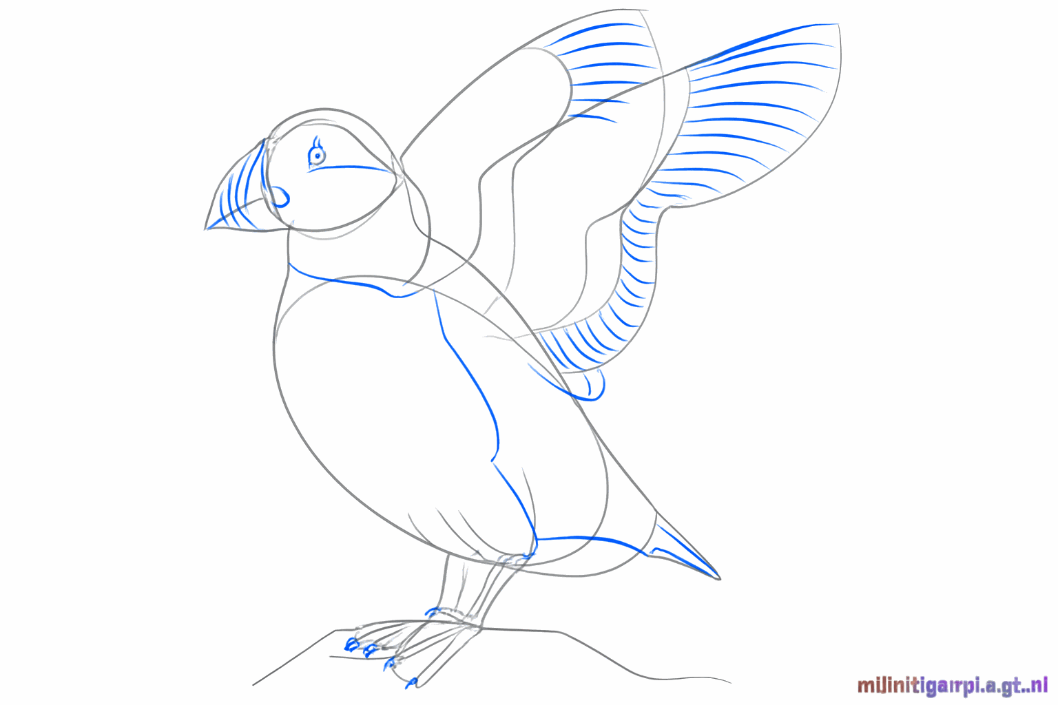 Een oogje in de kop en kleine teentjes aan de onderkant van de vogel.