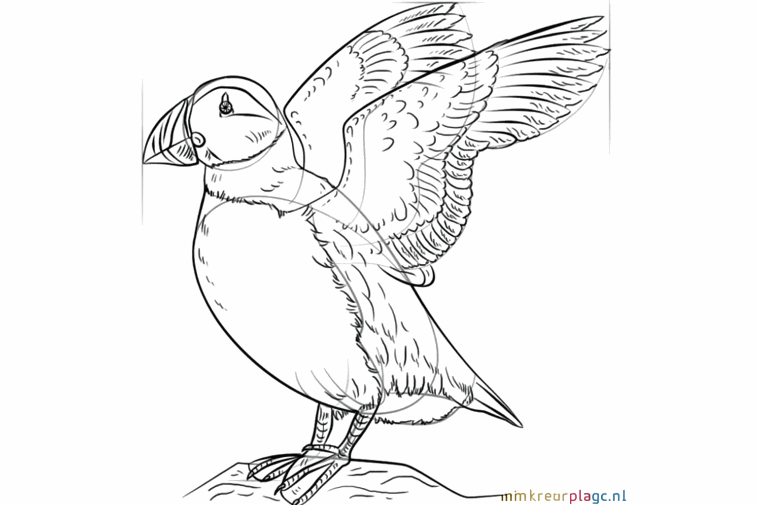 Details van de veren op de kop en kleine klauwtjes op de rots.