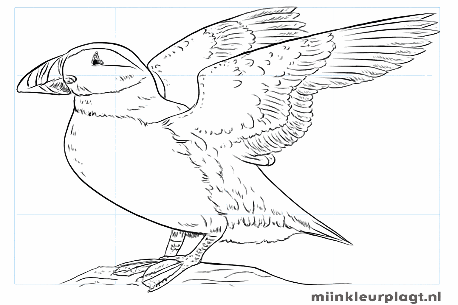 Een vrolijke papegaaiduiker tekenen