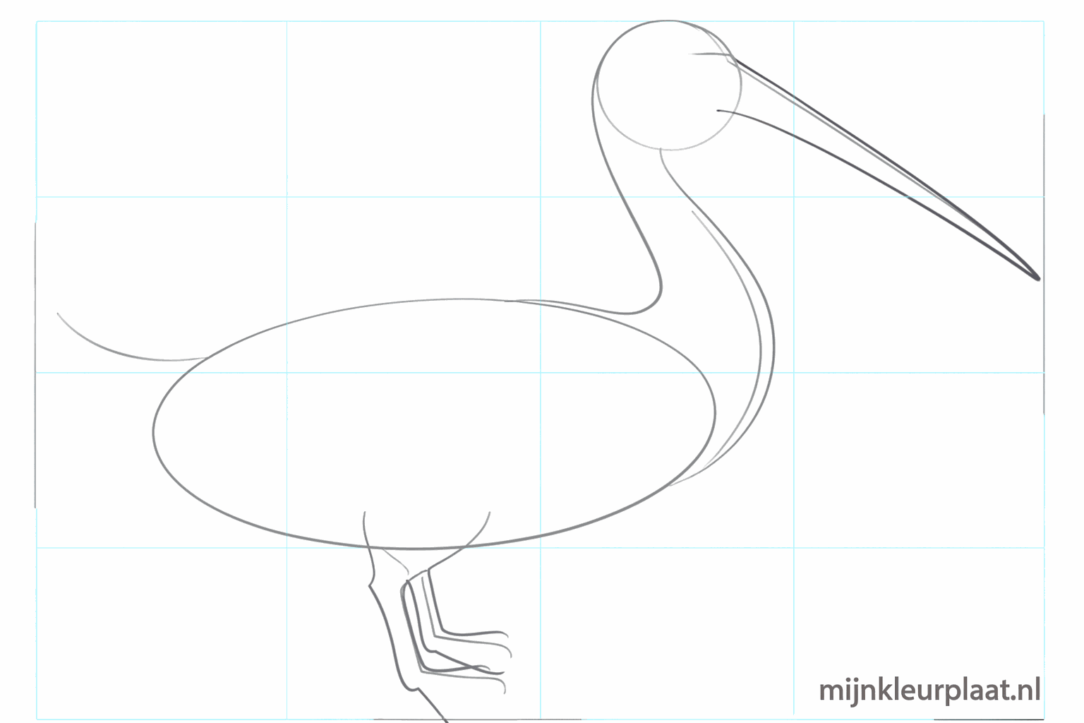 Hulplijnen voor het oog en de dunne poten onder het lichaam.