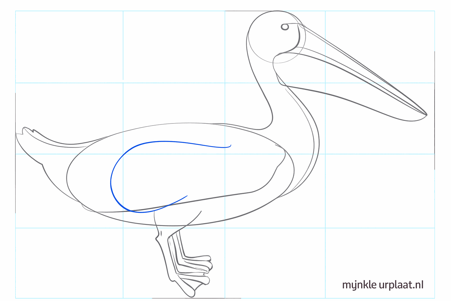 De kenmerkende snavelzak en de achterkant van de pelikaan worden zichtbaar.