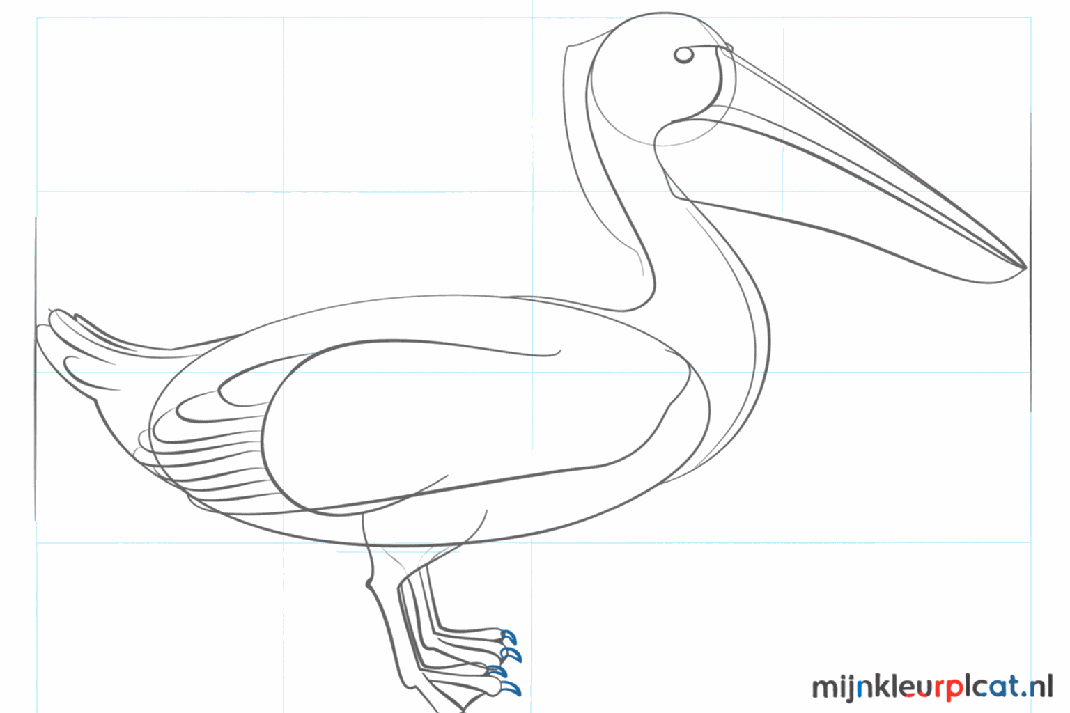 Details van het oog en de grote poten met zwemvliezen.