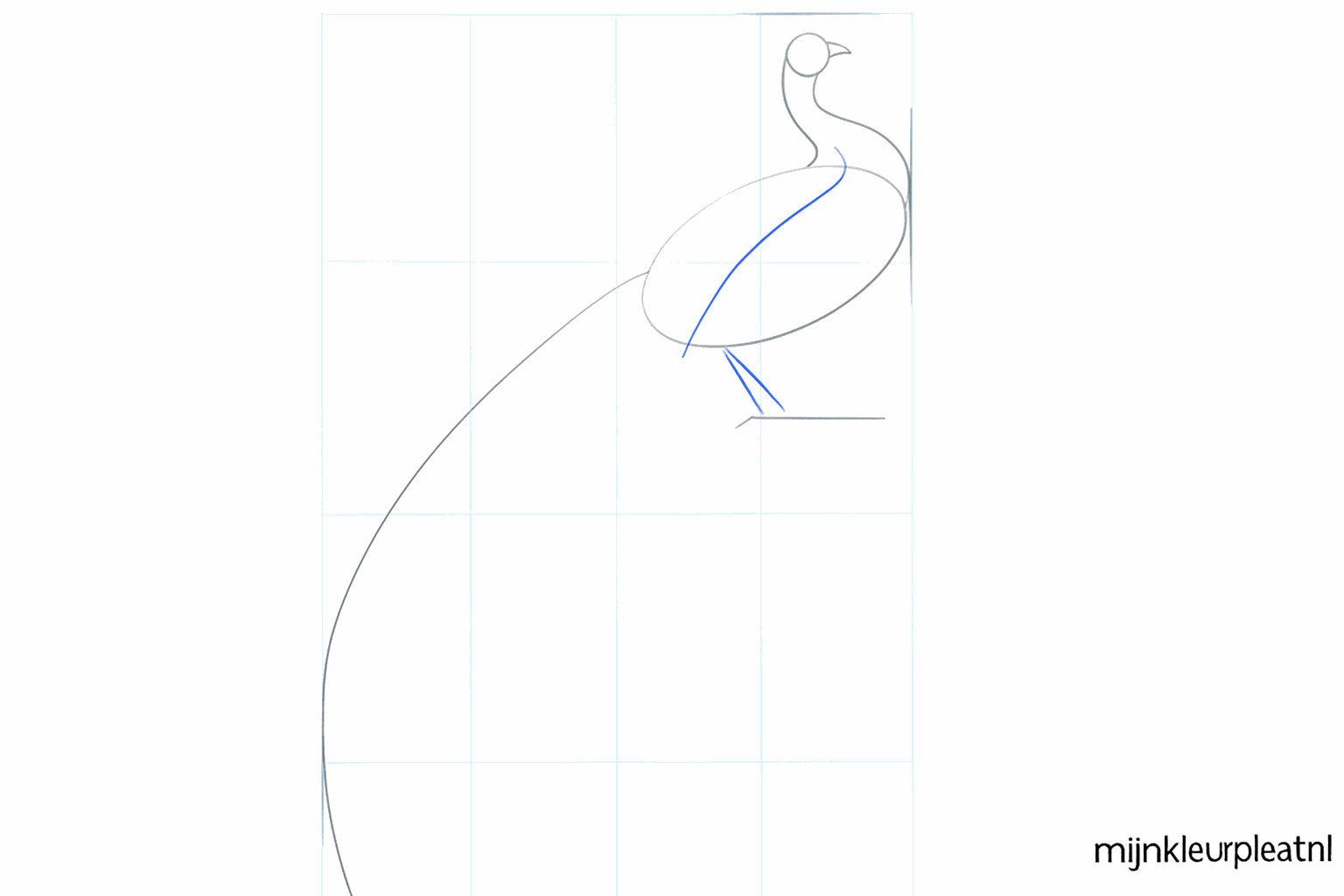 Een lange hulplijn voor de staart van de pauw.