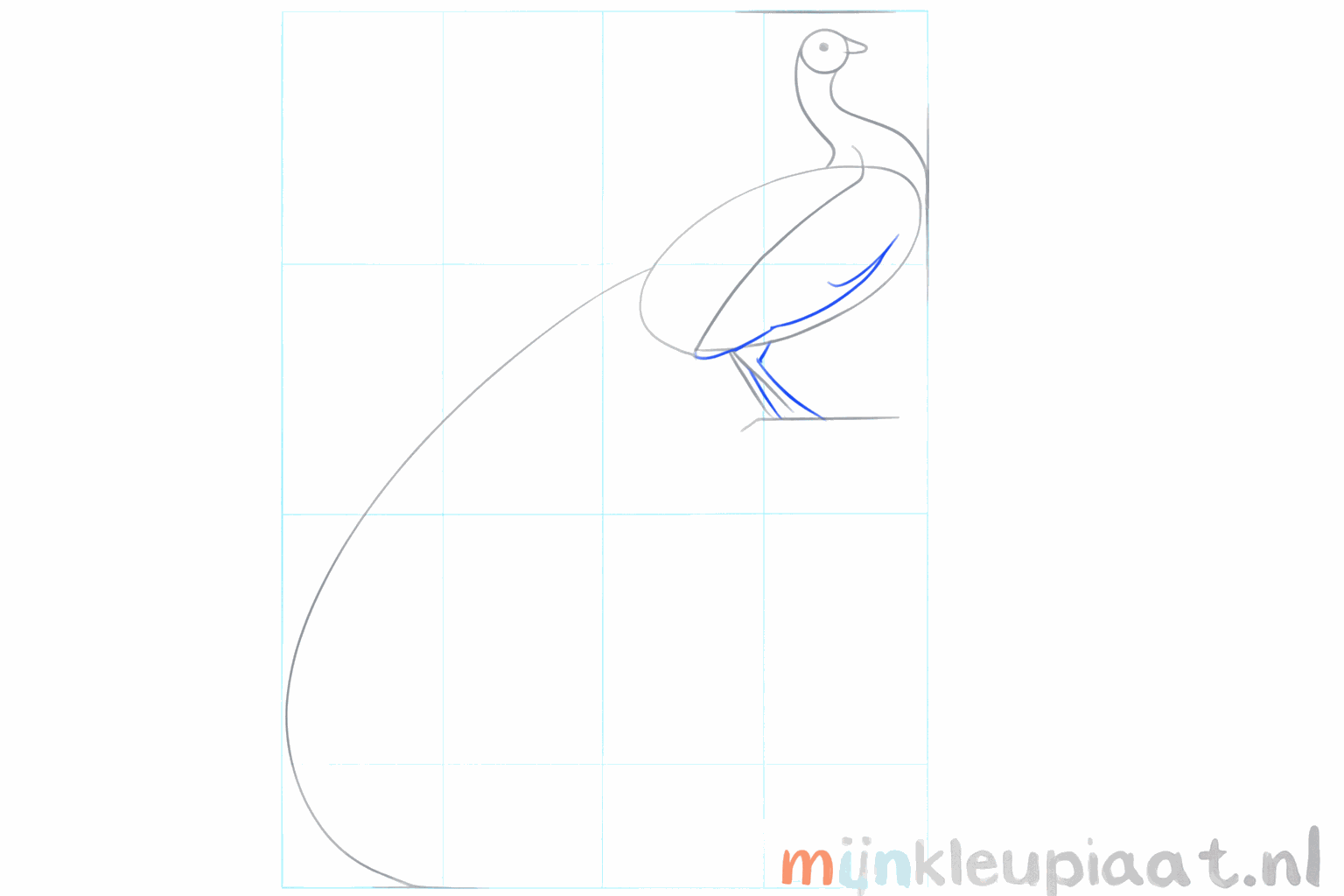 Hulplijnen voor de snavel en de poten van de pauw.