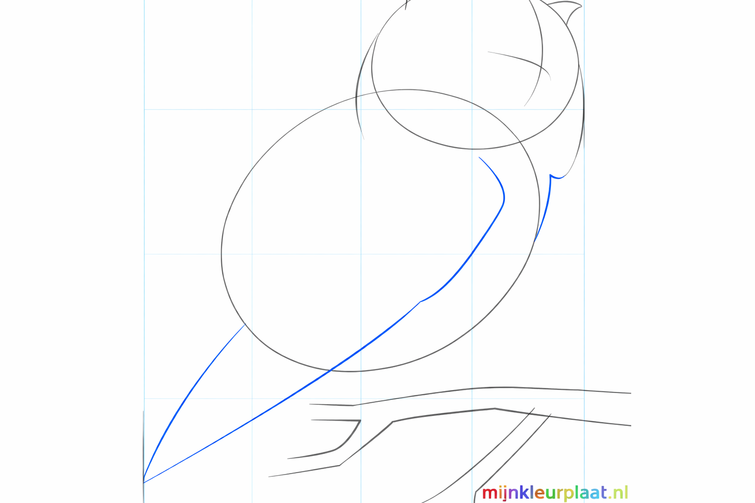 De vleugel en de nek van de uil getekend met vloeiende lijnen.