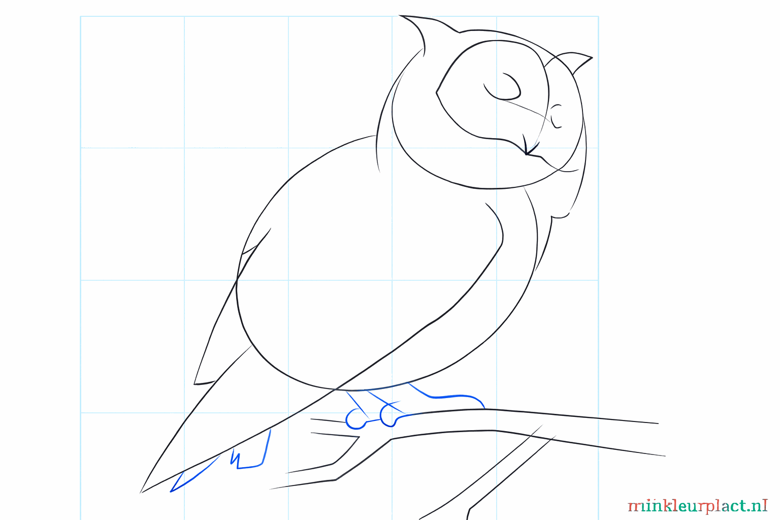 Details van het gezicht met ogen, snavel en de staart van de uil.