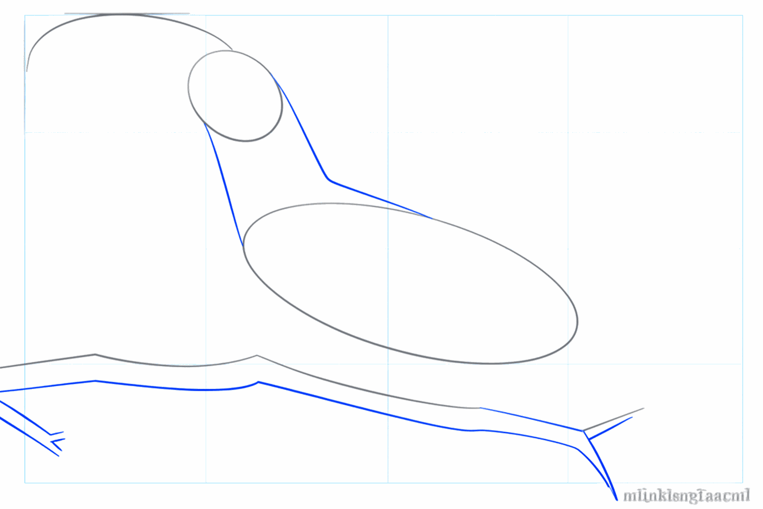 De nek en ruglijn die de twee ovalen van de vogel met elkaar verbinden.