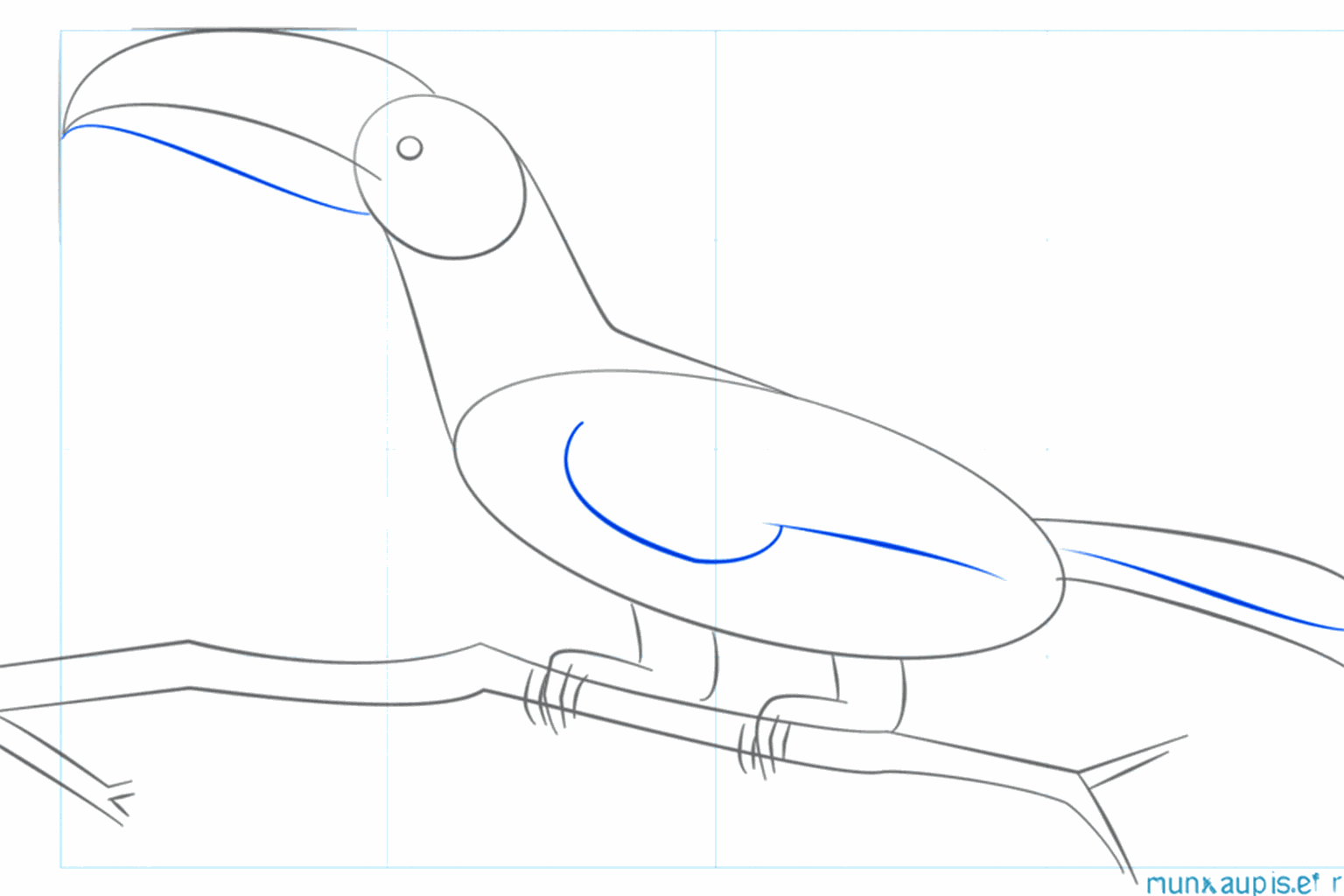 Een klein rond oogje in de kop en een dikkere boomtak onder de vogel.