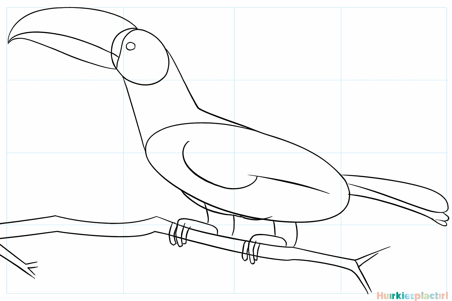 De onderkant van de snavel en de vorm van een vleugel op het lichaam.